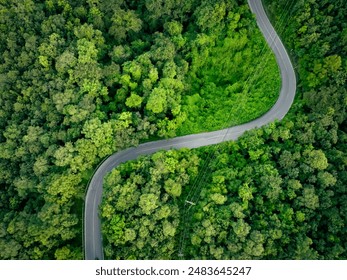 成人视频免费观看